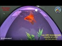 Acuario  YA-02  SUNSUN