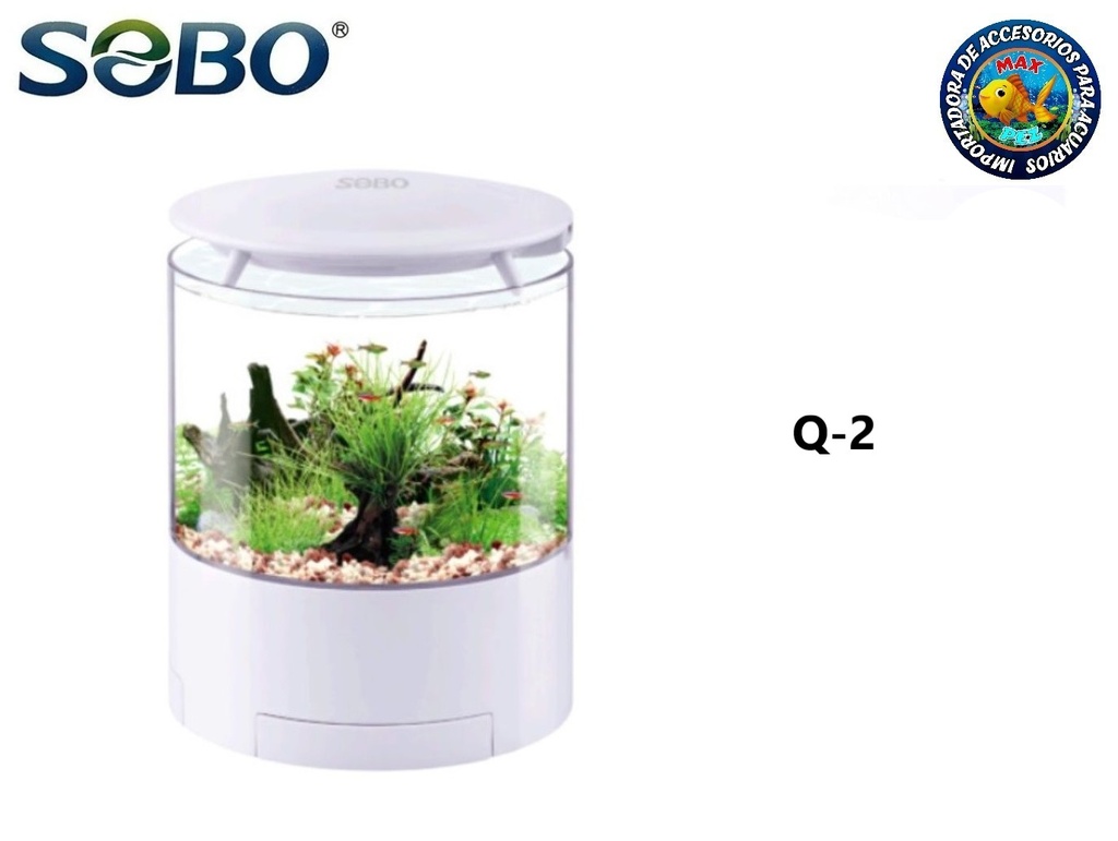Q-2  SOBO