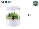 Q-2  SOBO