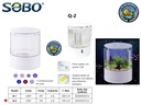 Q-2  SOBO