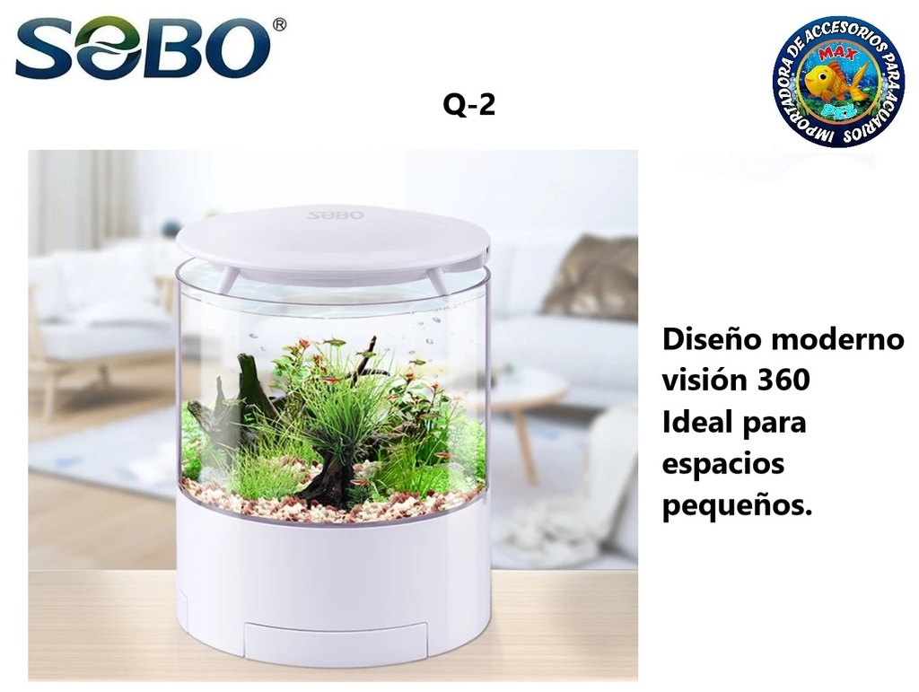 Q-2  SOBO