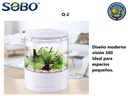 Q-2  SOBO