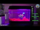 Acuario  AQ-030  AQQA