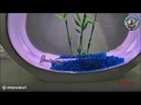 Acuario  YA-02  SUNSUN