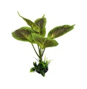 Plantas Artificiales Decorativas  AG-249