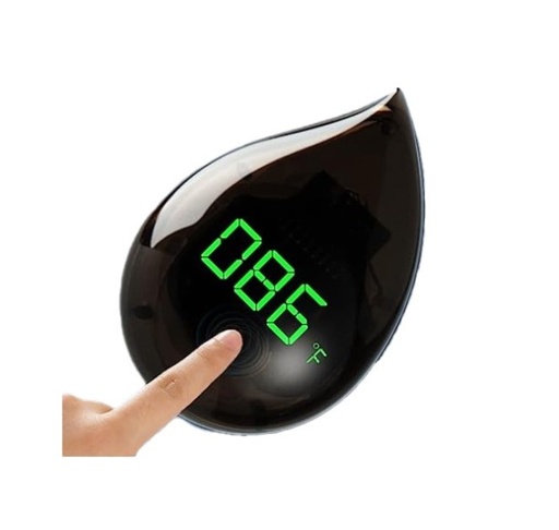 Termómetro digital  PJ-76